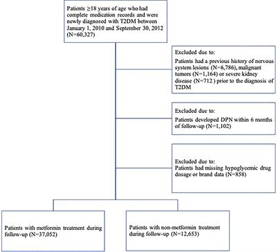 Metformin treatment and risk of diabetic peripheral neuropathy in patients with type 2 diabetes mellitus in Beijing, China